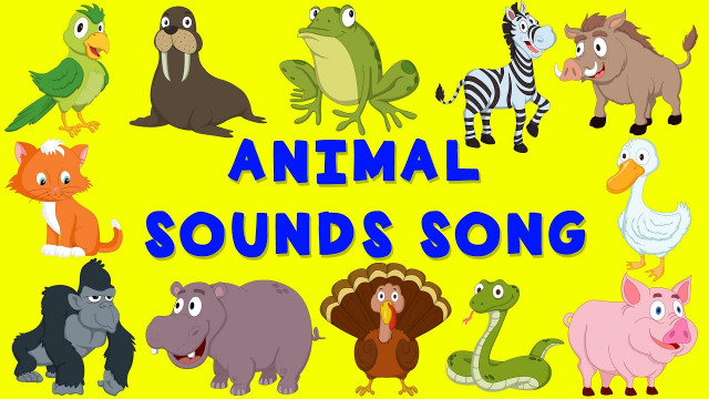 Animal Sounds Song | TV360