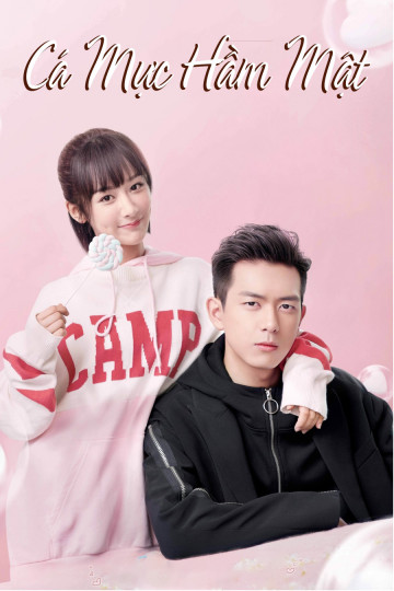 Cá Mực Hầm Mật - Go Go Squid