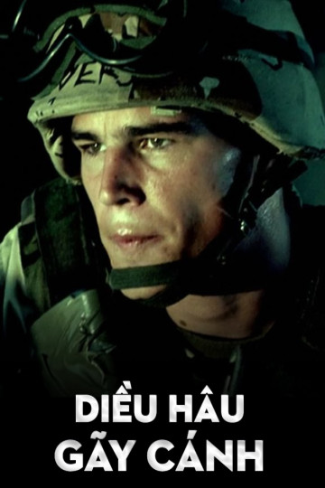 Diều Hâu Gãy Cánh - Black Hawk Down