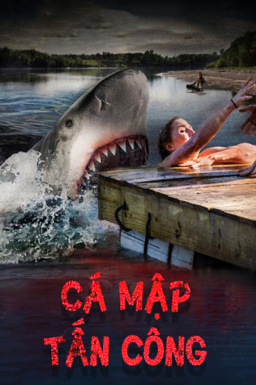 Cá Mập Tấn Công - Summer Shark Attack