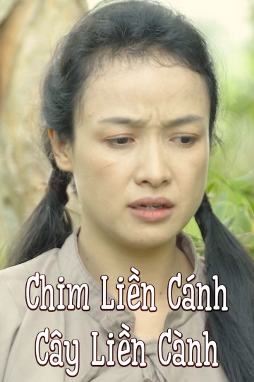 Chim Liền Cánh Cây Liền Cành