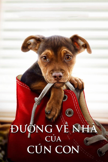 Đường Về Nhà Của Cún Con - A Dog'S Way Home