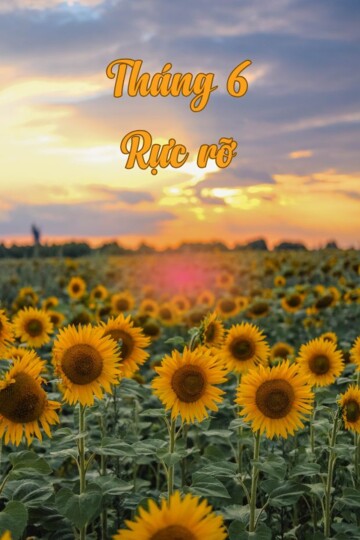 Tháng 6 Rực Rỡ