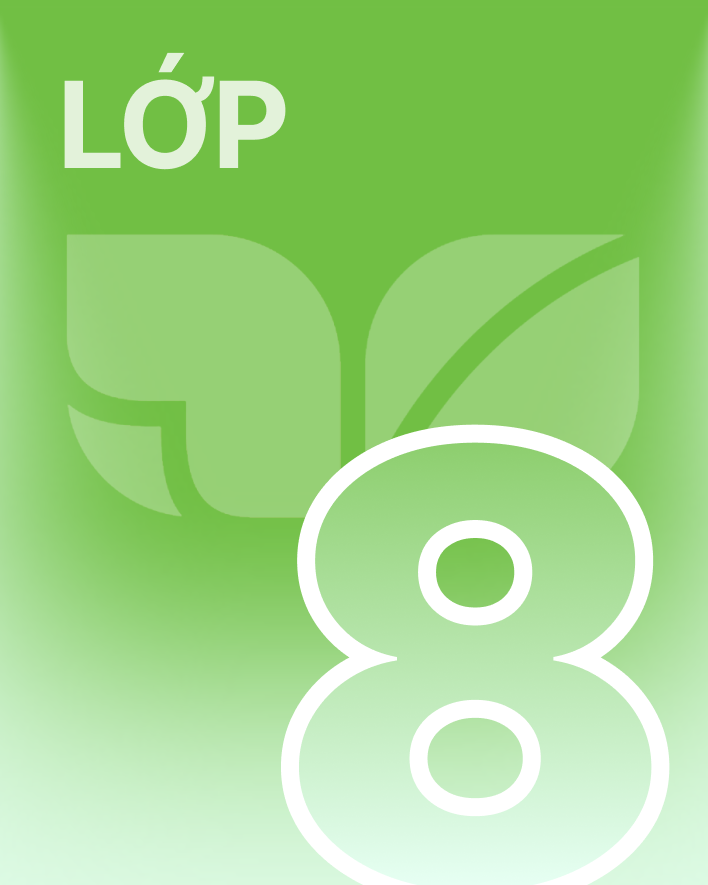 Lớp 8 - Bộ sách kết nối tri thức