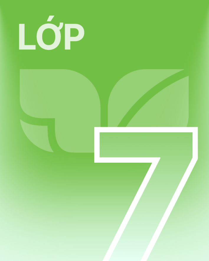 Lớp 7 - Bộ sách kết nối tri thức
