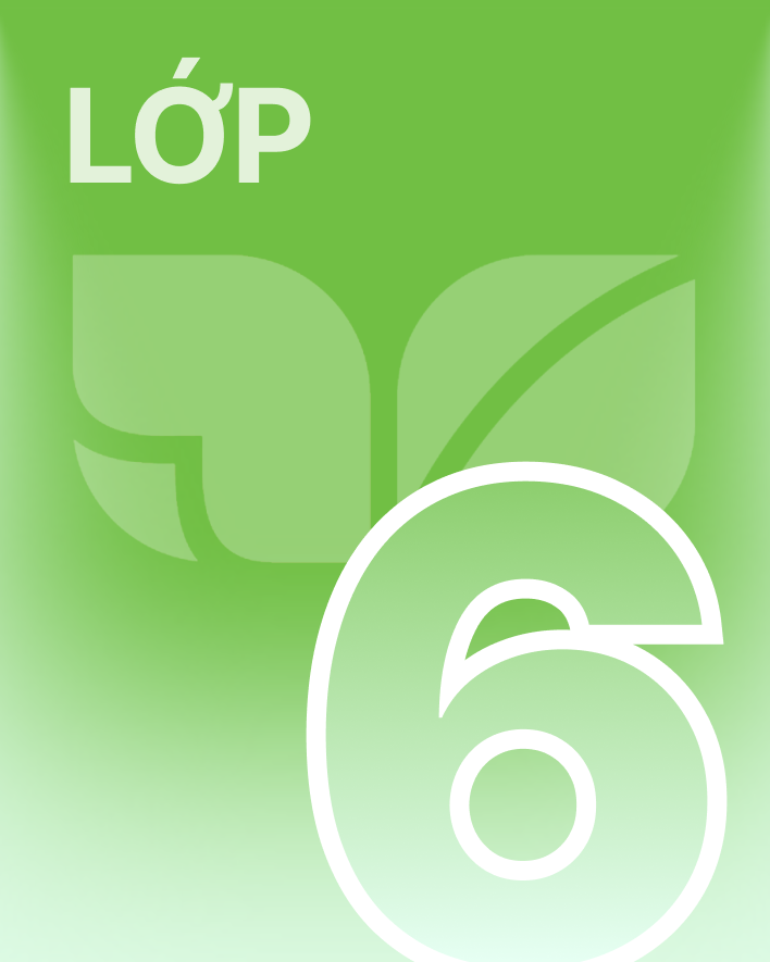 Lớp 6 - Bộ sách kết nối tri thức