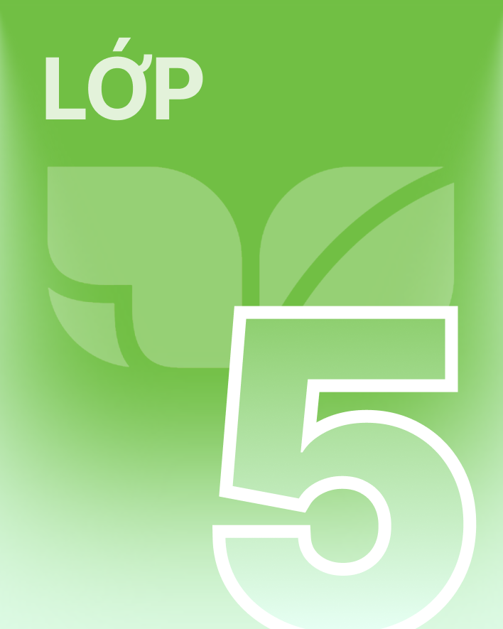 Lớp 5 - Bộ sách kết nối tri thức