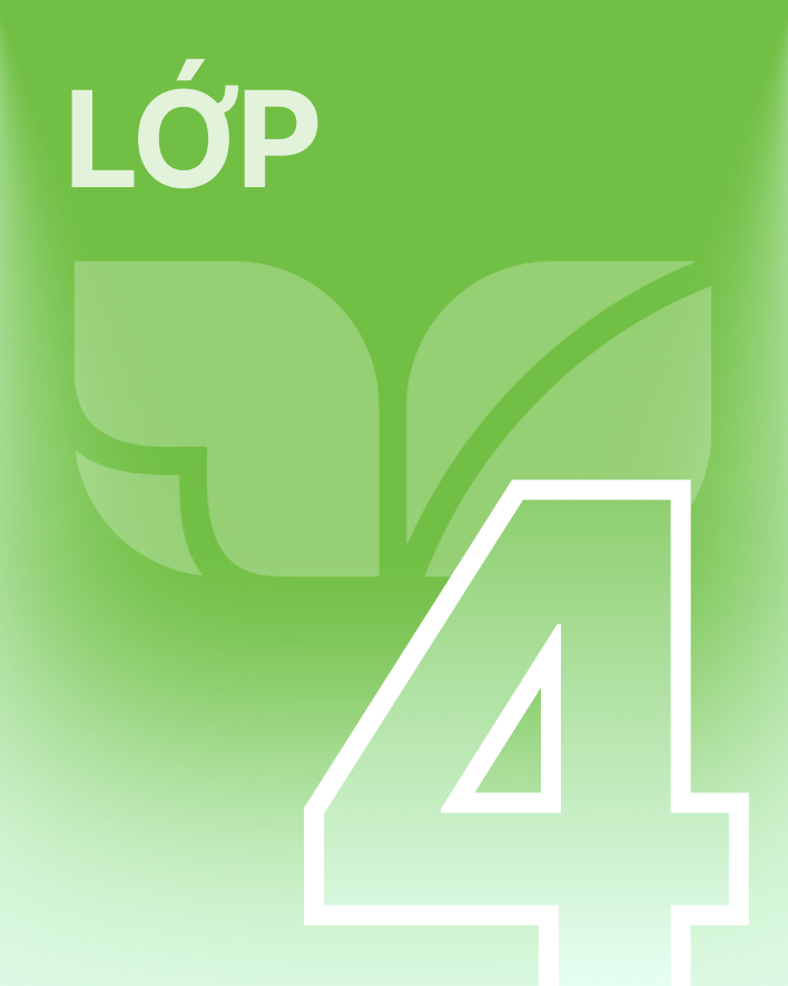 Lớp 4 - Bộ sách kết nối tri thức