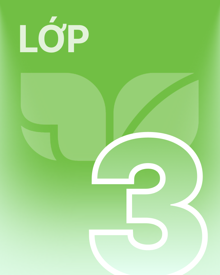 Lớp 3 - Bộ sách kết nối tri thức