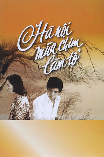 Hà Nội mùa chim làm tổ