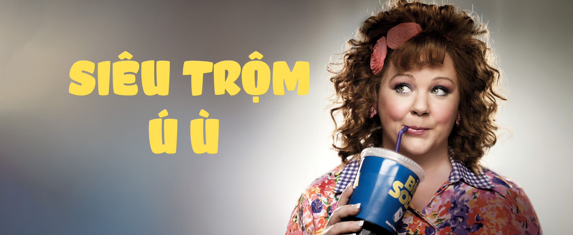 Siêu Trộm Ú Ù - Identity Thief