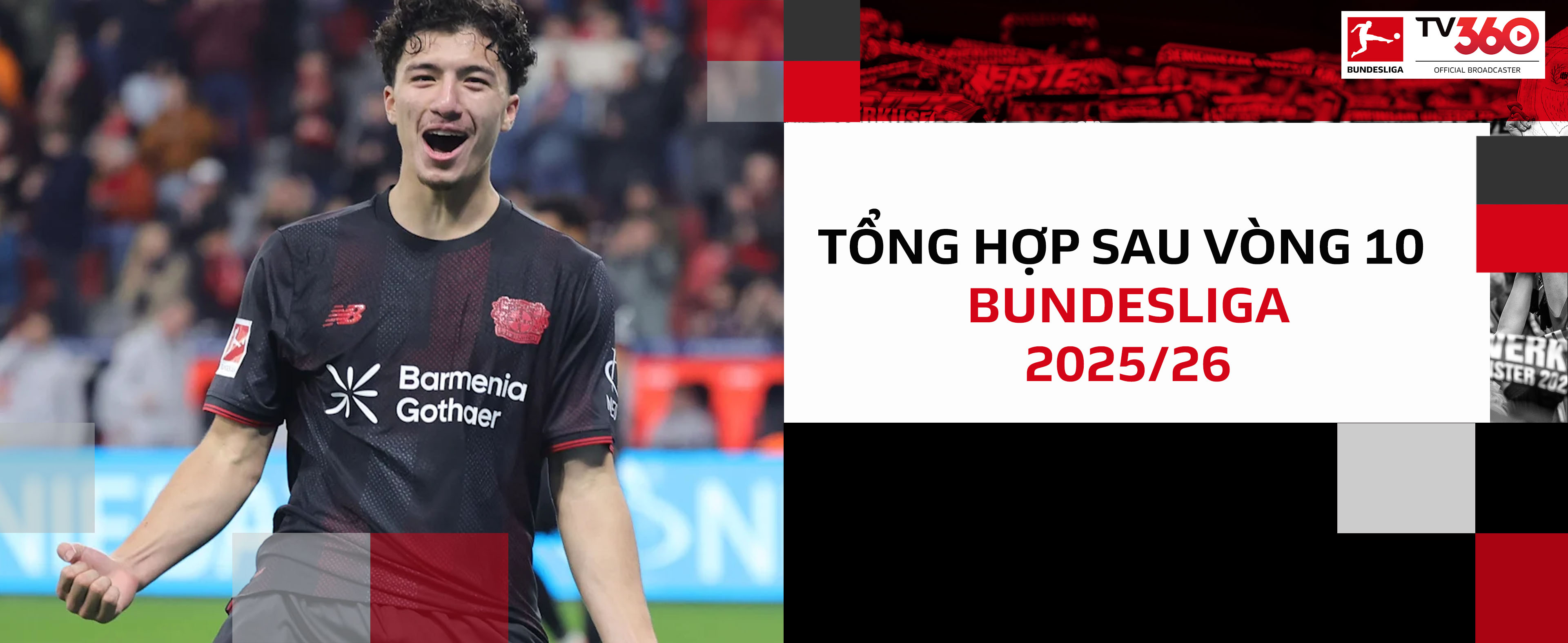 Tổng hợp vòng 10