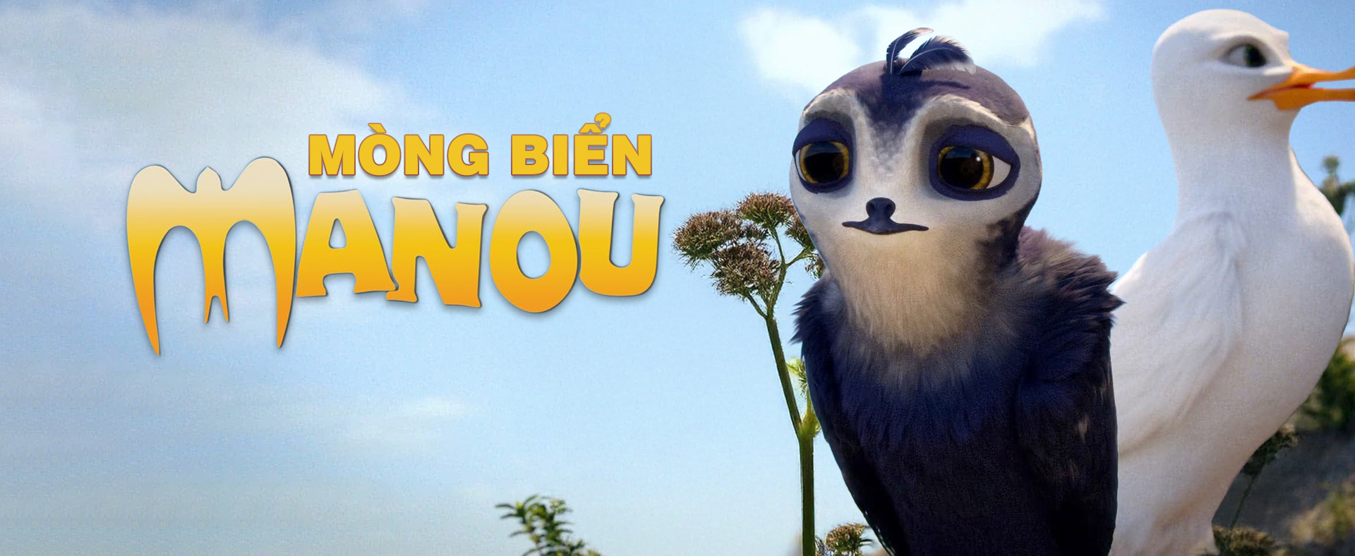 Mòng Biển Manou - Manou The Swift