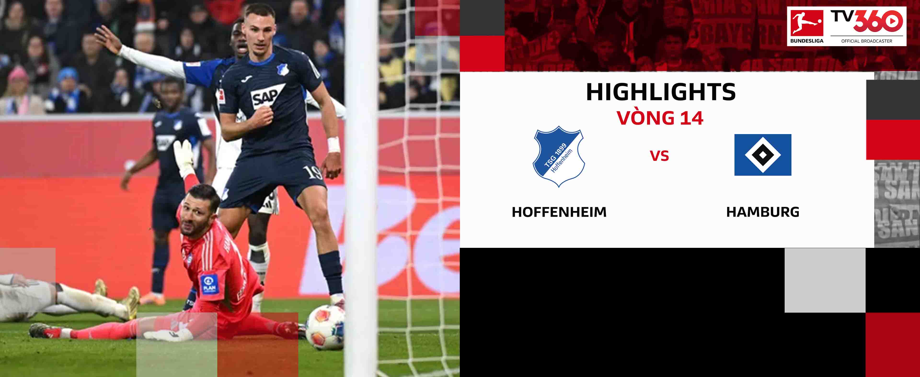 Hoffenheim vs Hamburg
